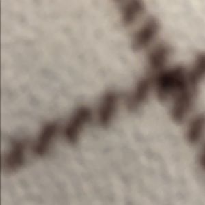 Meet your Posher, Daisy